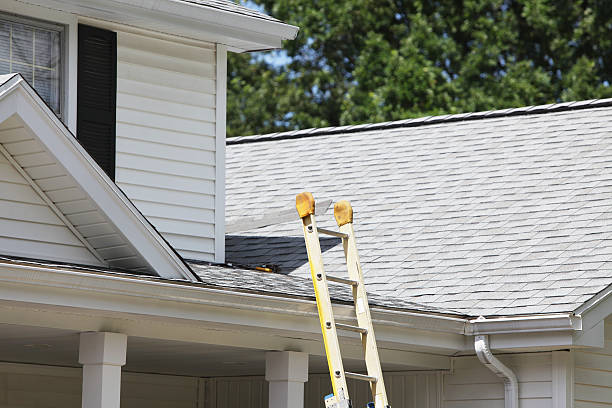 Storm Damage Siding Repair in Northgate, OH
