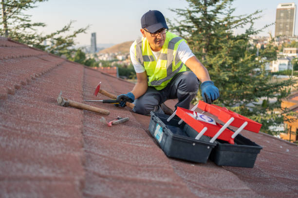 Professional Siding Installation & Repair in Northgate, OH